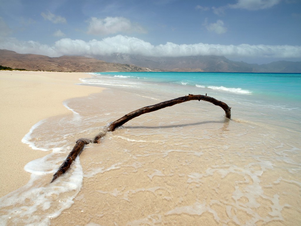 socotra nature Travel Team in Socotra Island